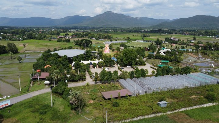 Fotowoltaika na polu uprawnym: czy agro-PV to dobry pomysł?